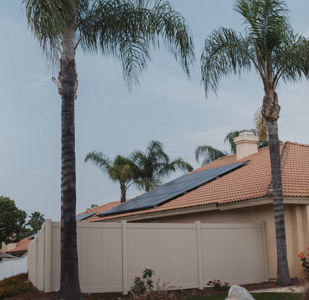 House solar panel palm